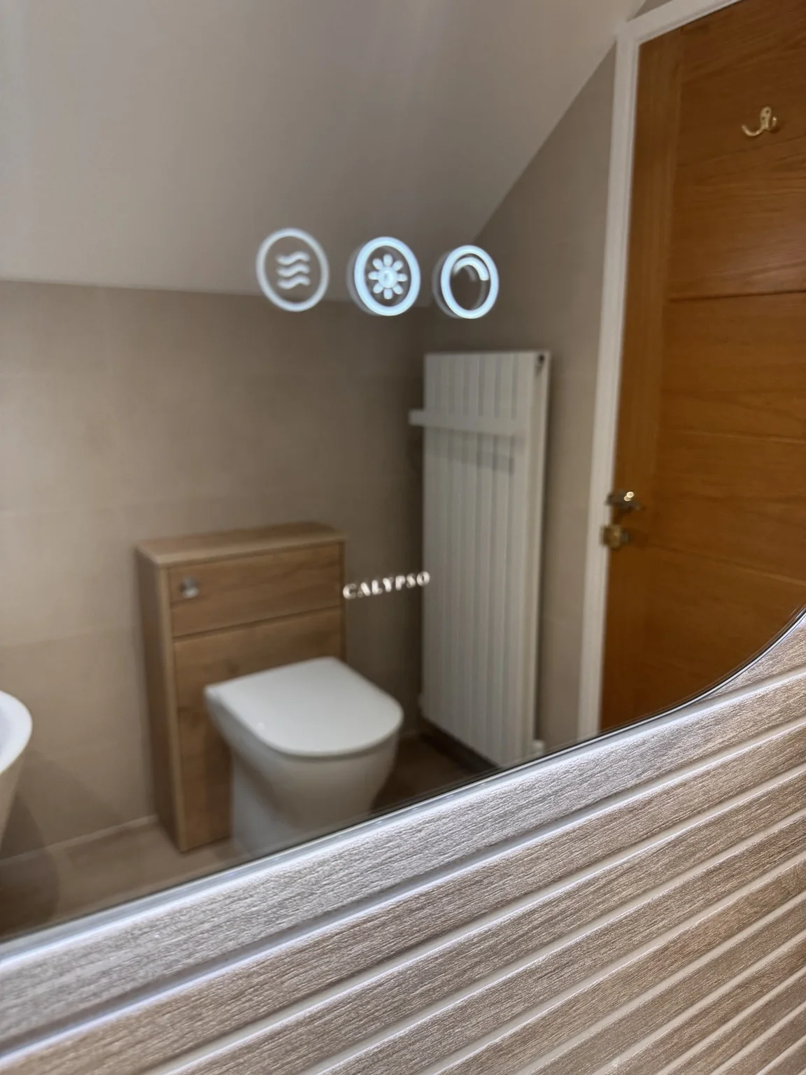 Mirror touch controls with toilet furniture and a vertical radiator reflected behind